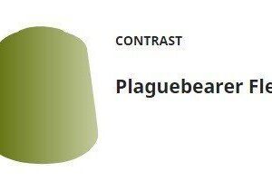 29-42 CONTRAST Plaguebearer Flesh Citadel